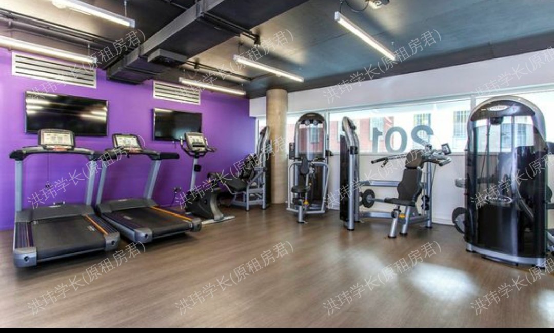 Iq student accommodation highbury 公寓