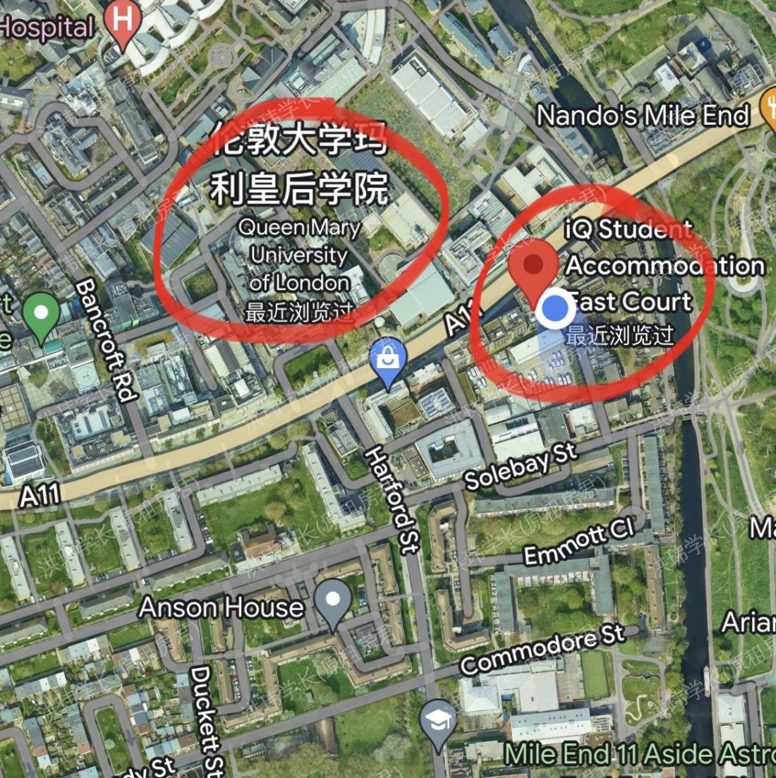 IQ student accommodation east court公寓