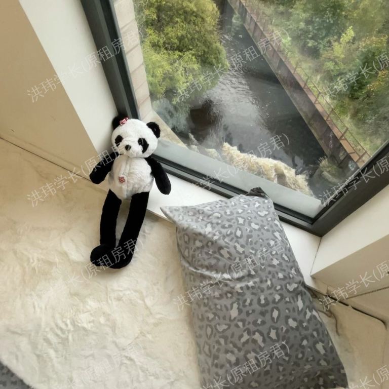 rooms picture