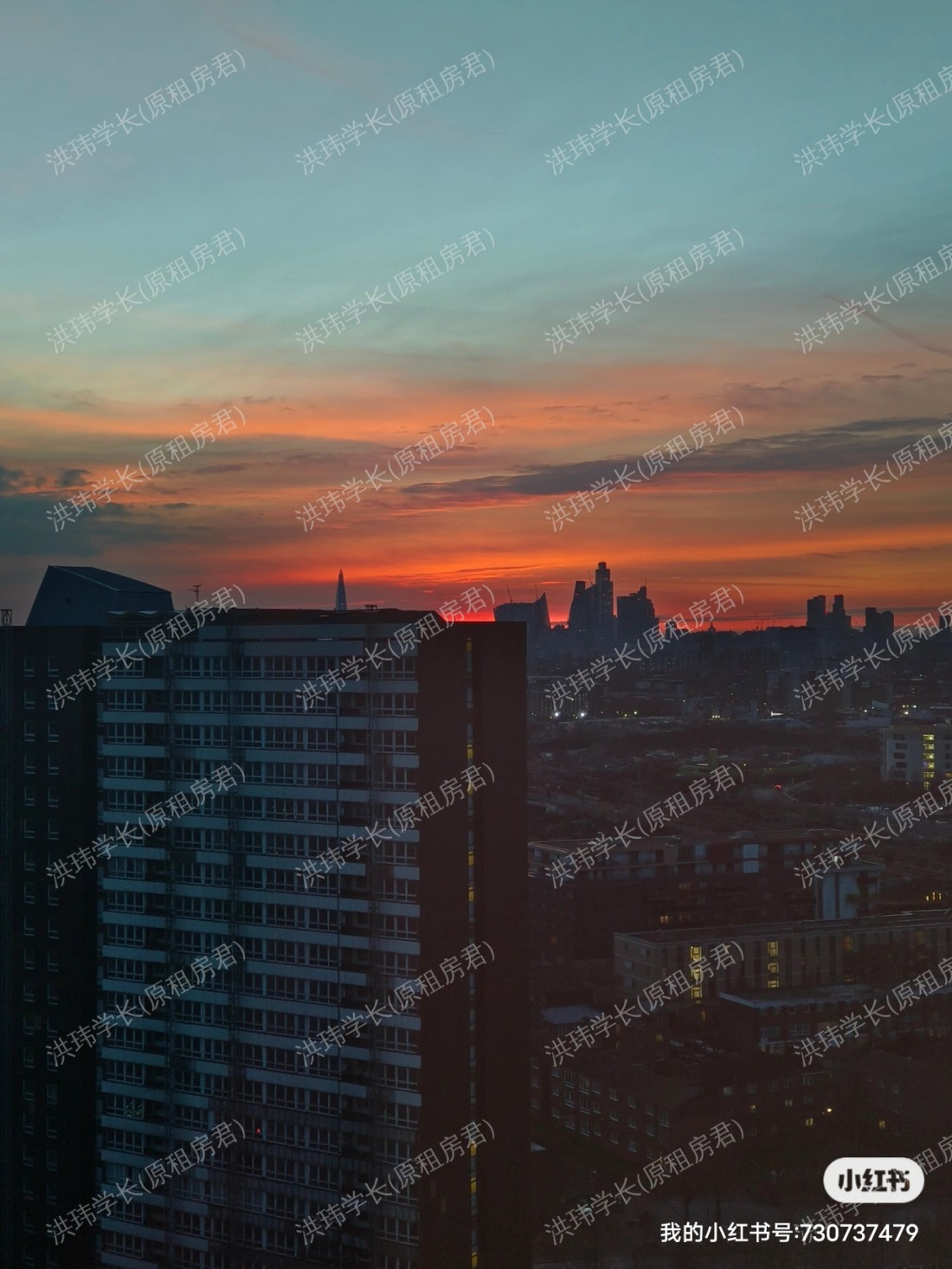 Eleanor Rosa House公寓