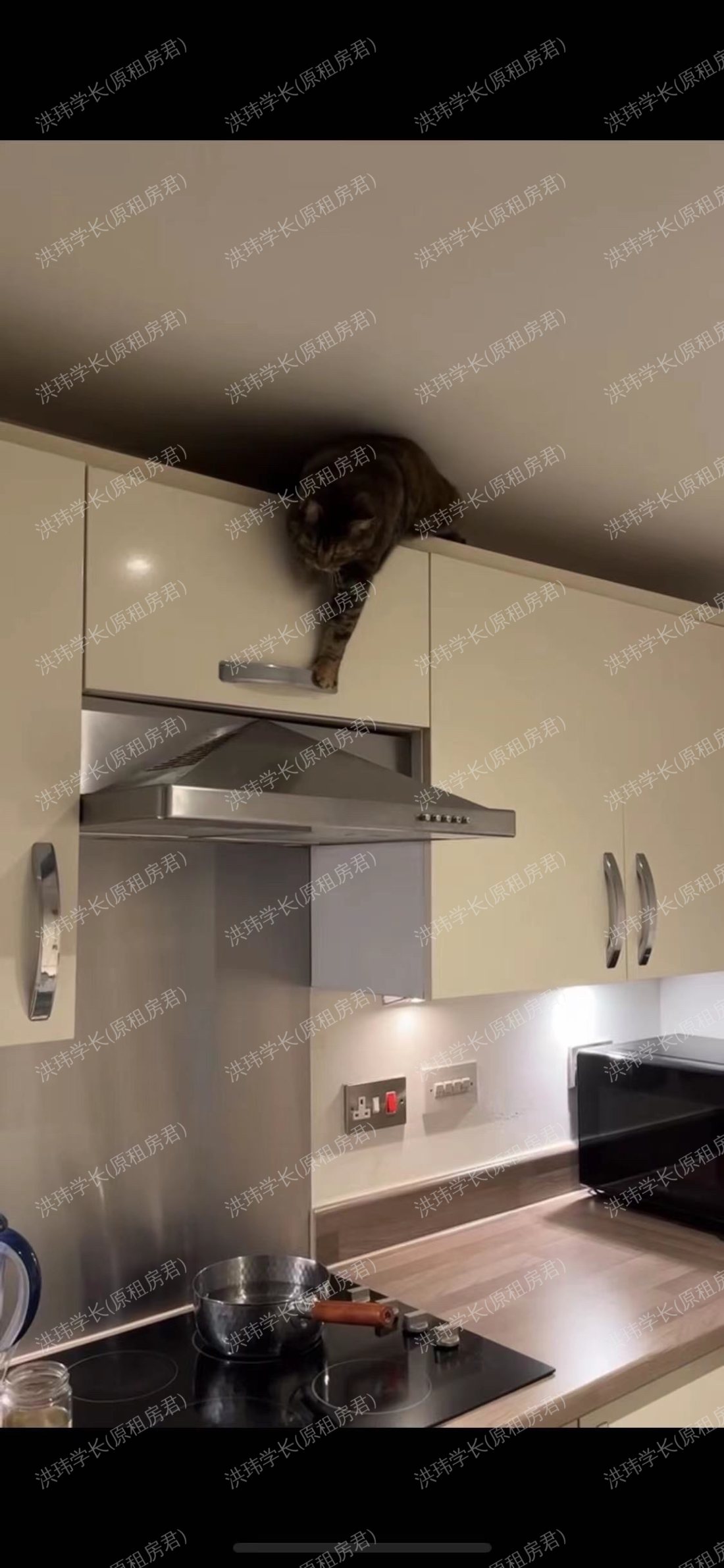 velocity village公寓