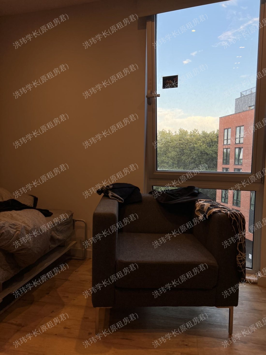 Host the hive 公寓