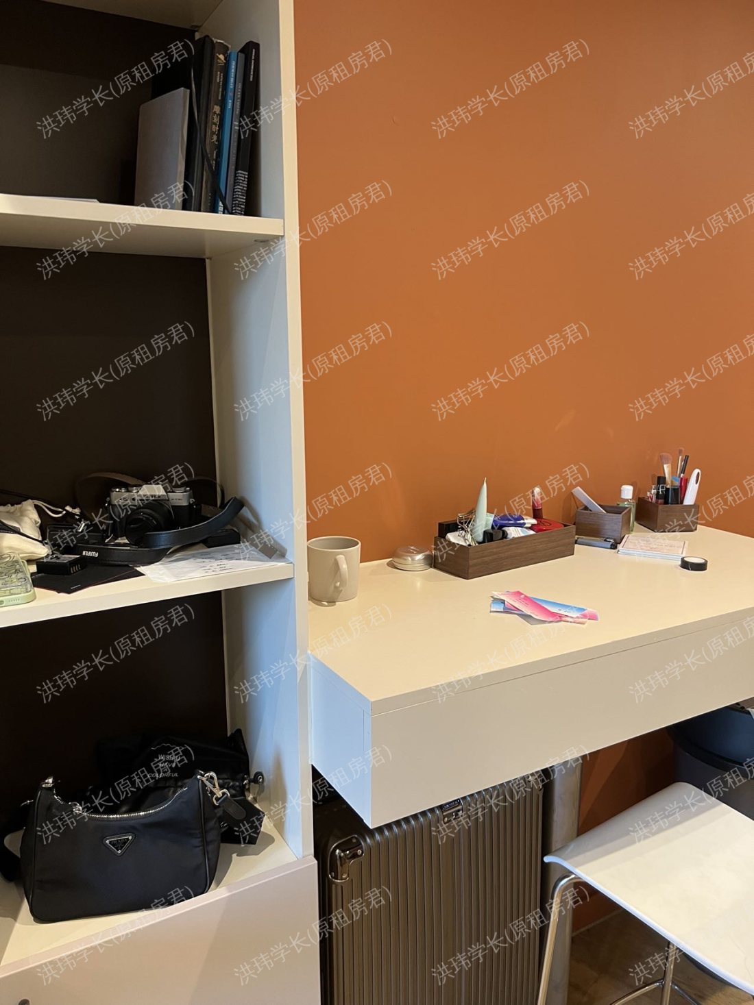 Host the hive 公寓