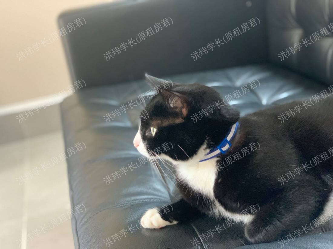 39-41 Apartment公寓