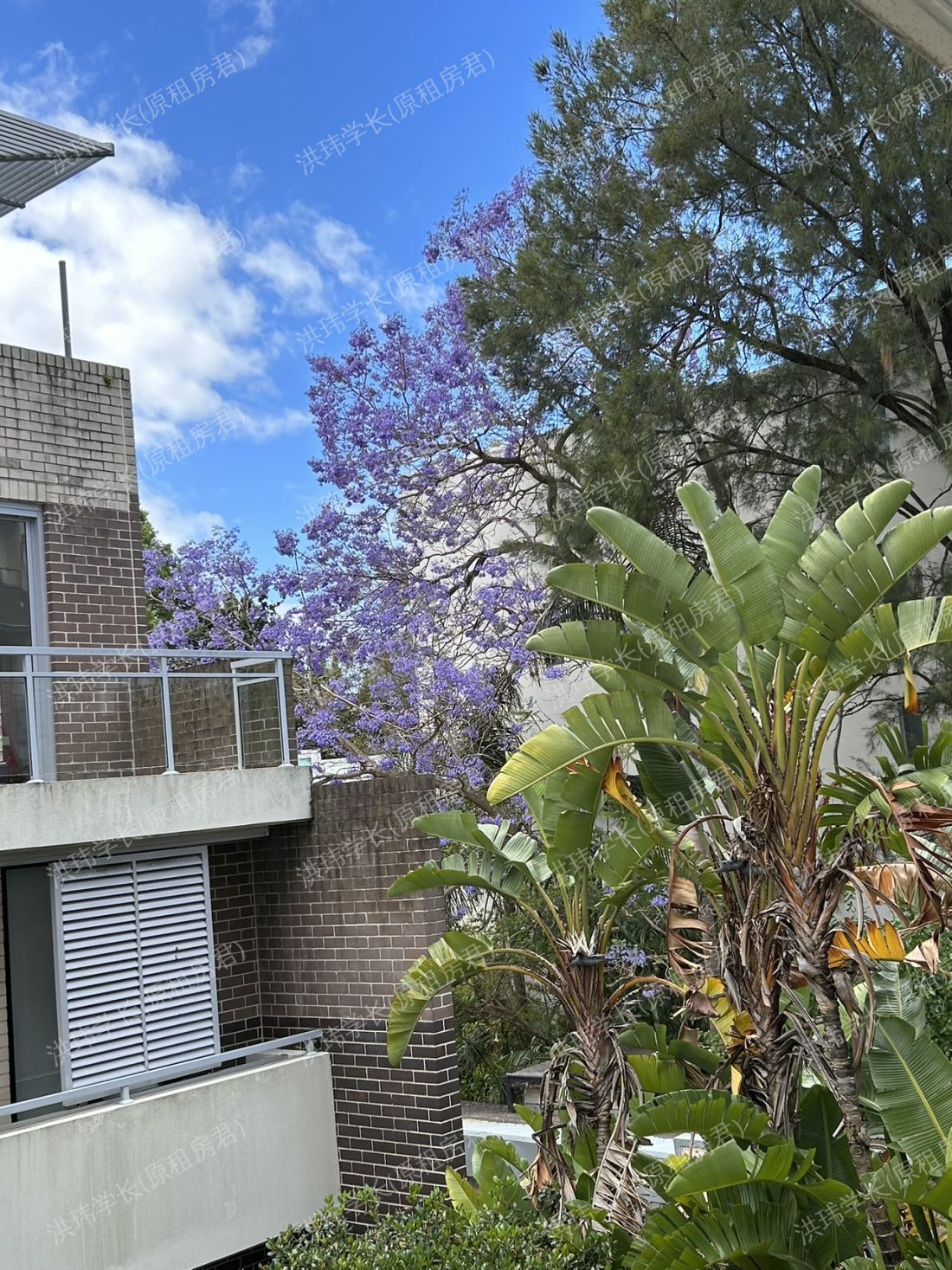 University of Sydney - Queen Mary Building公寓