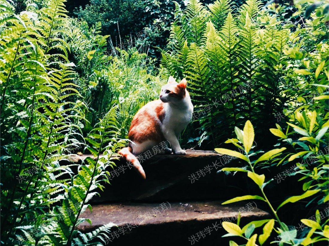 Gateway Apartments公寓