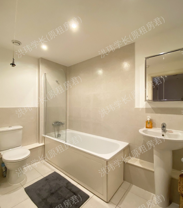 Pimlico apartment 公寓