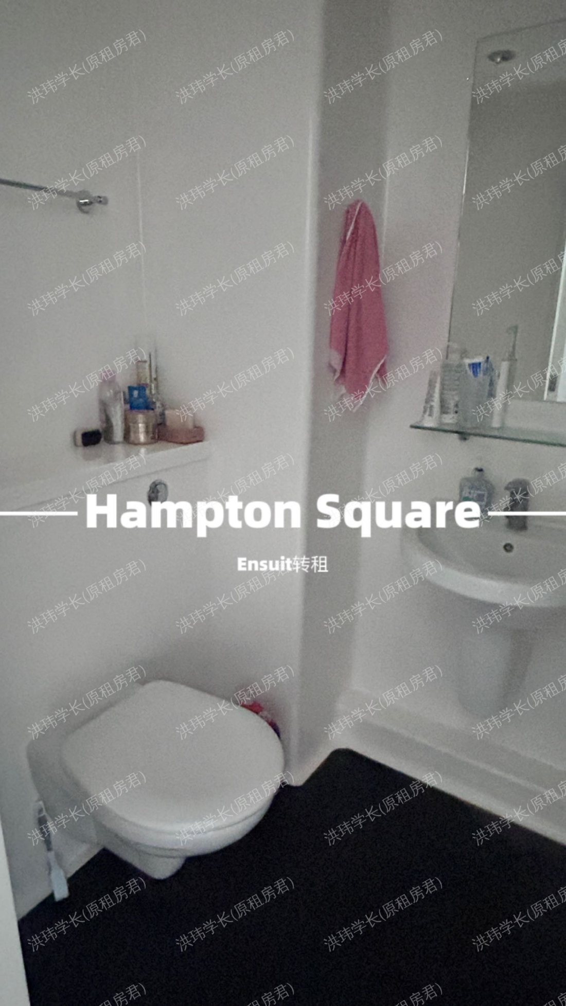 Capitol Students | Hampton Square公寓