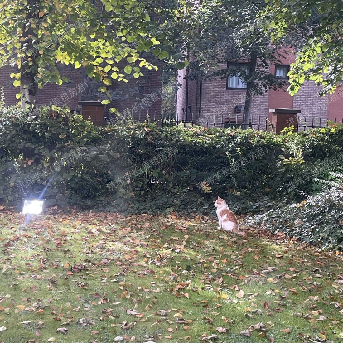 iQ Manchester Gardens公寓