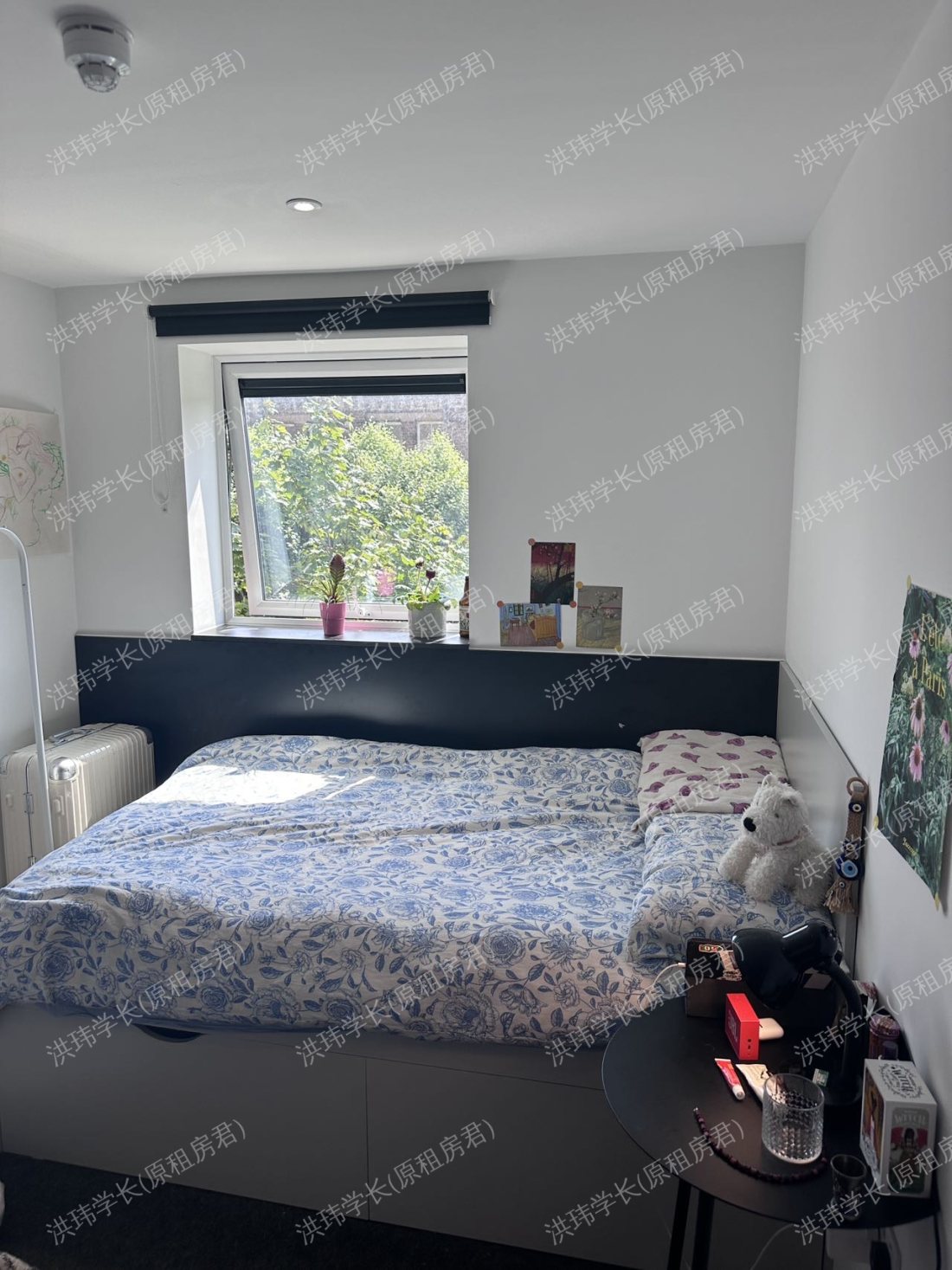 New park student accommodation 公寓