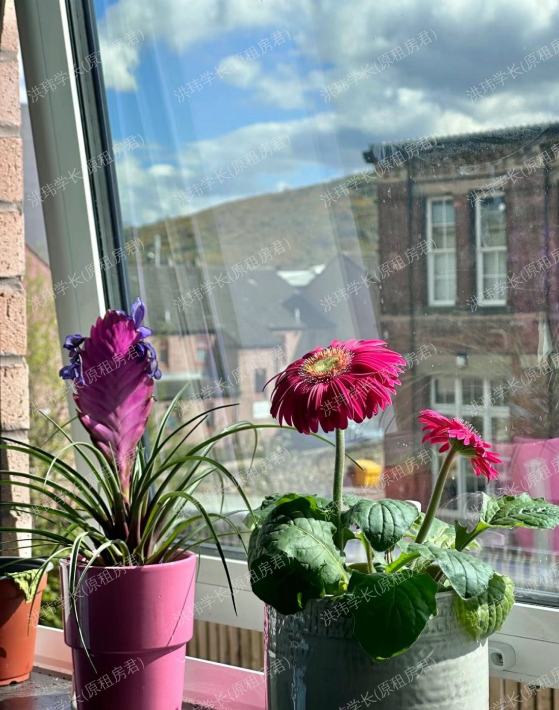 New park student accommodation 公寓