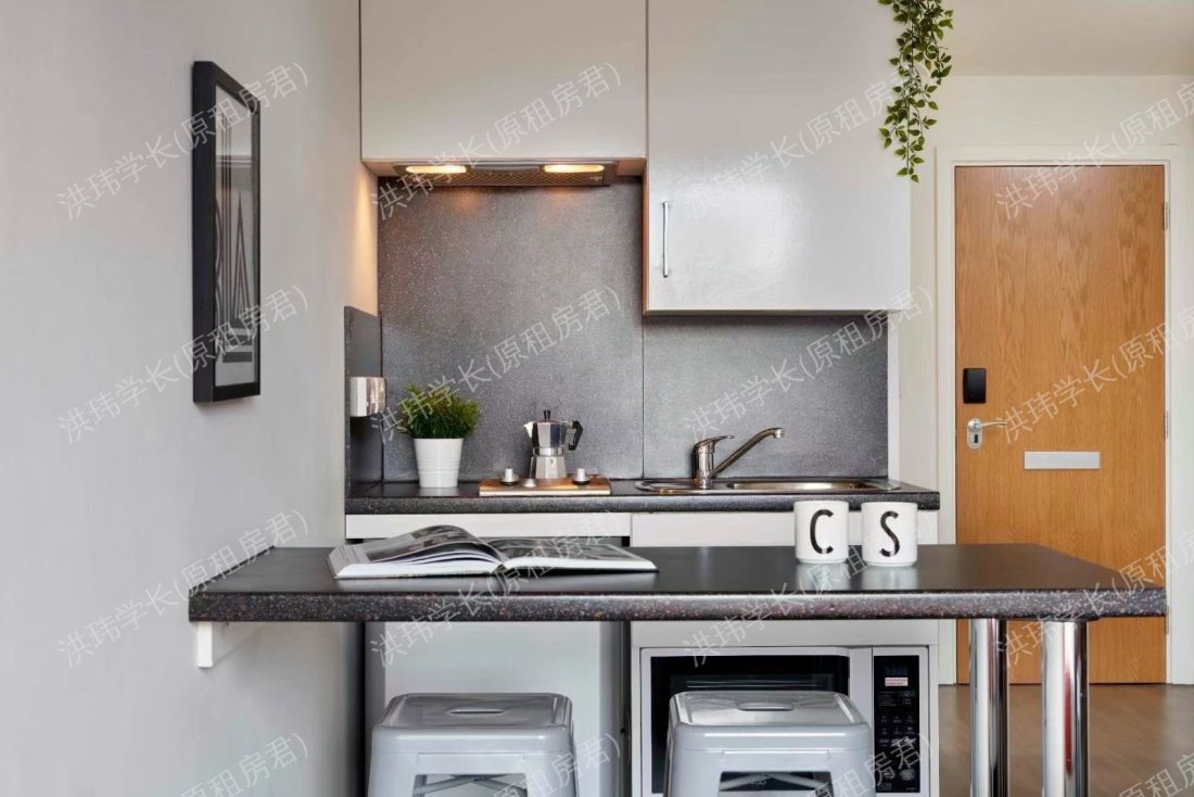 Asa Briggs House公寓