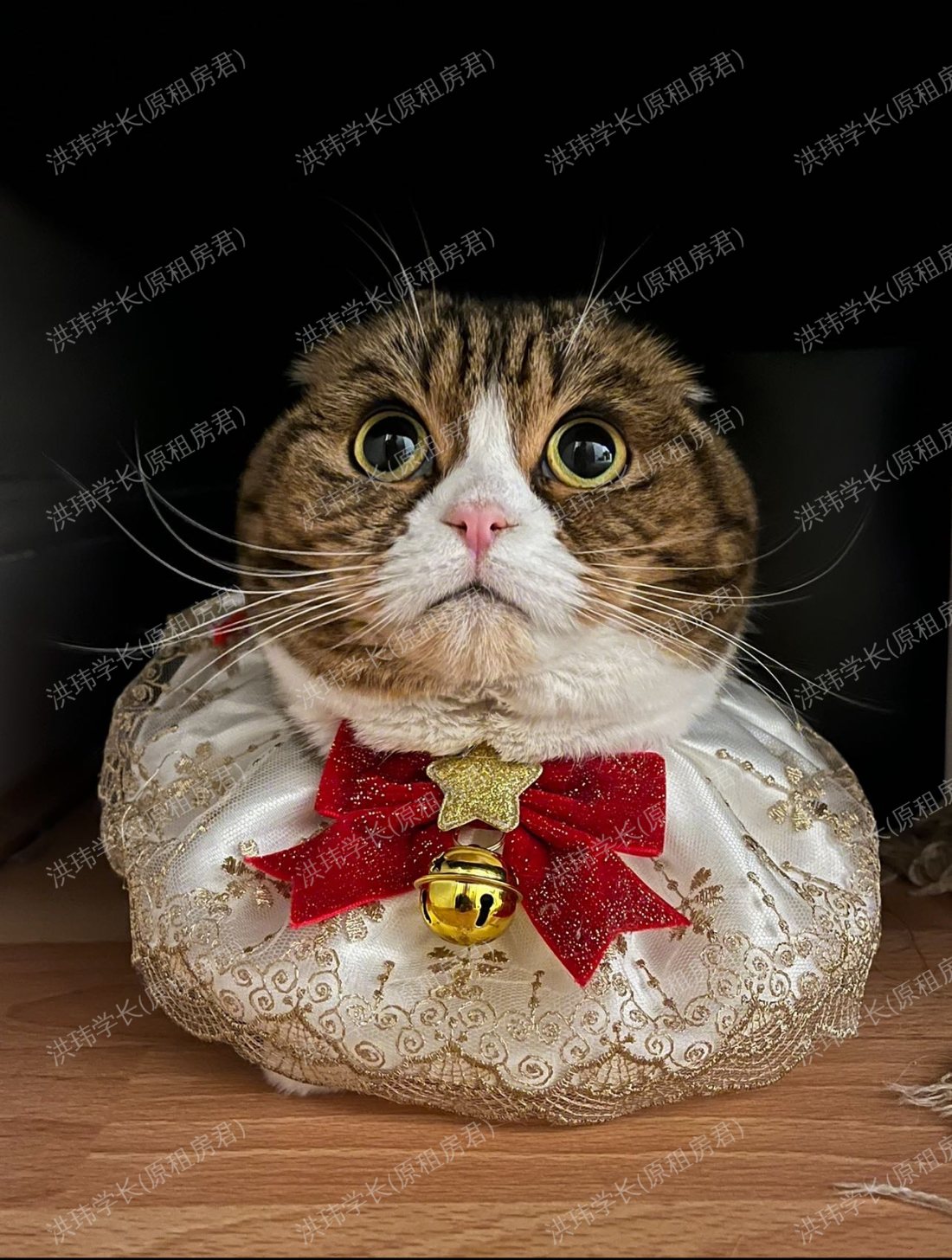 Kensington mansions公寓