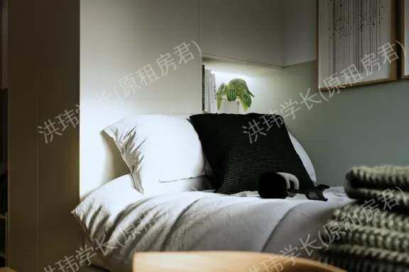 Norton's Student Living公寓