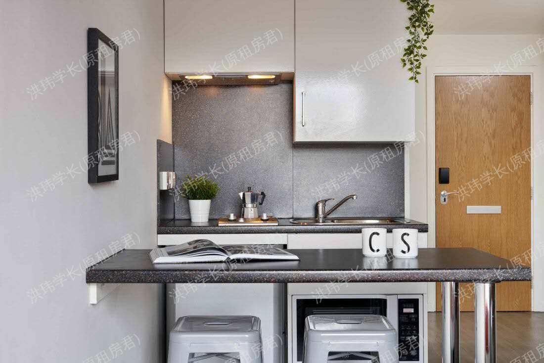 Asa Briggs House公寓