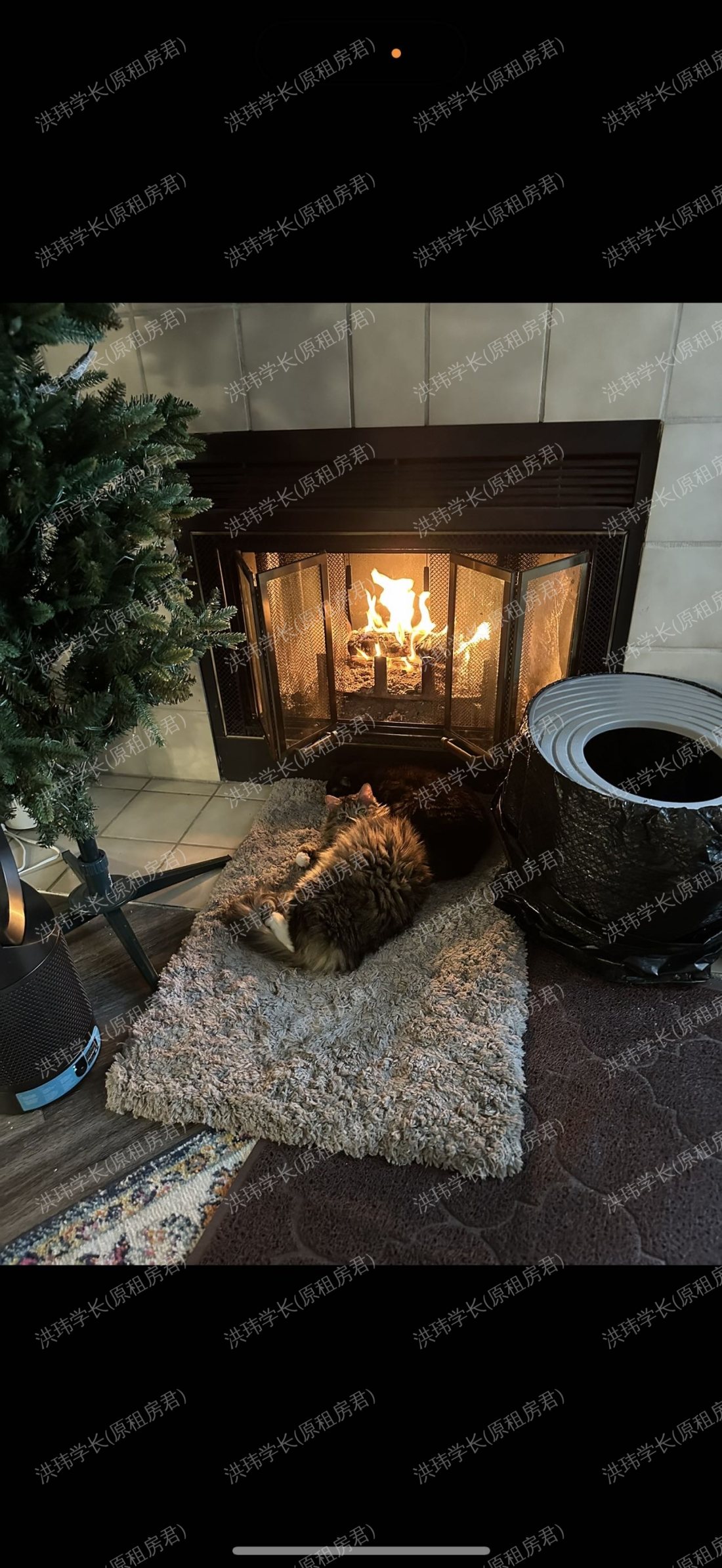 Eaves San jose公寓