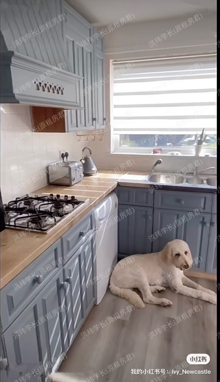 34 Goodyear Crescent公寓