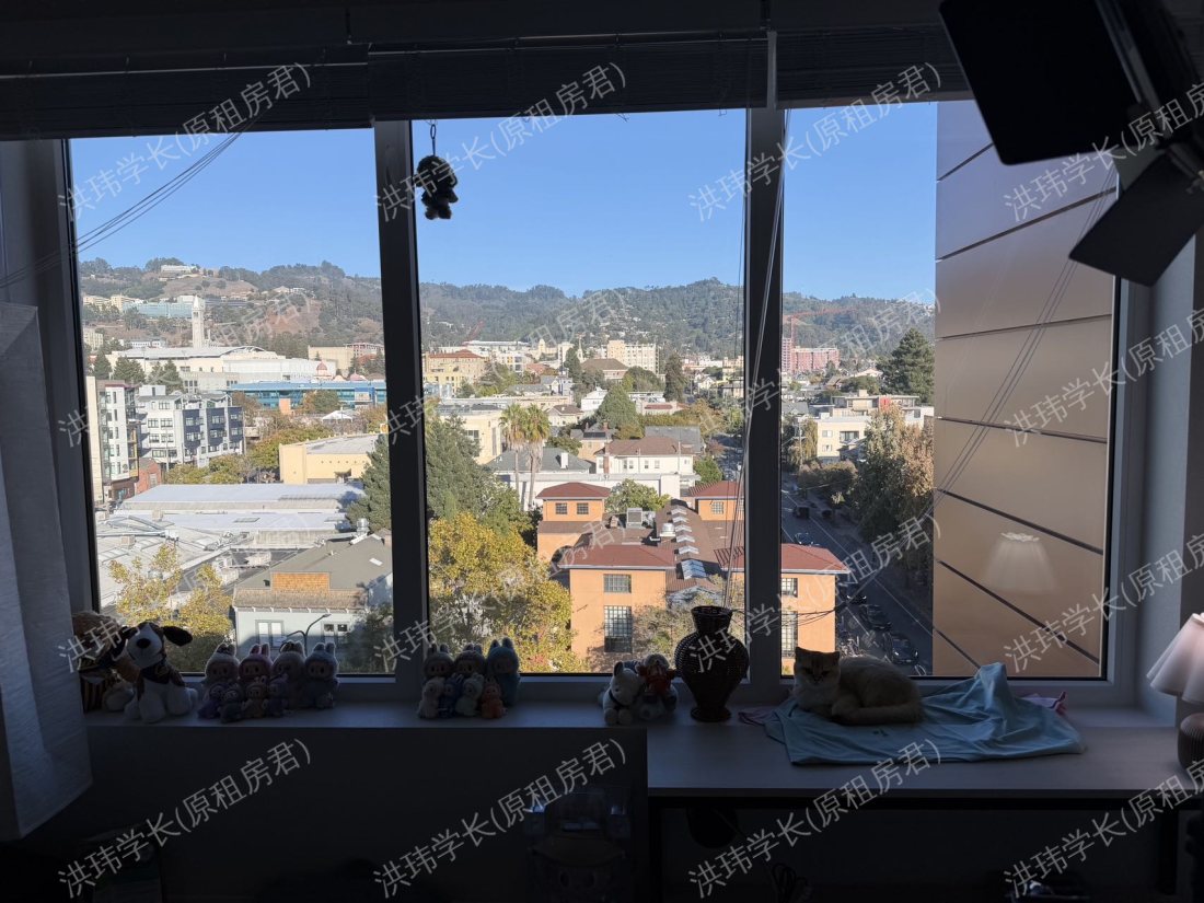 Identity Logan Park 公寓