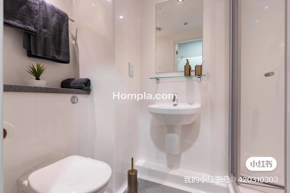 Kingston plaza apartment
