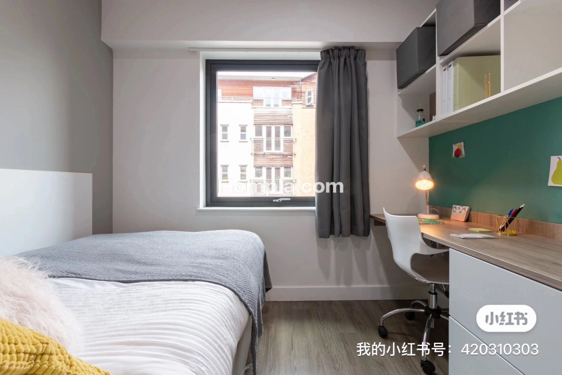 Kingston plaza apartment