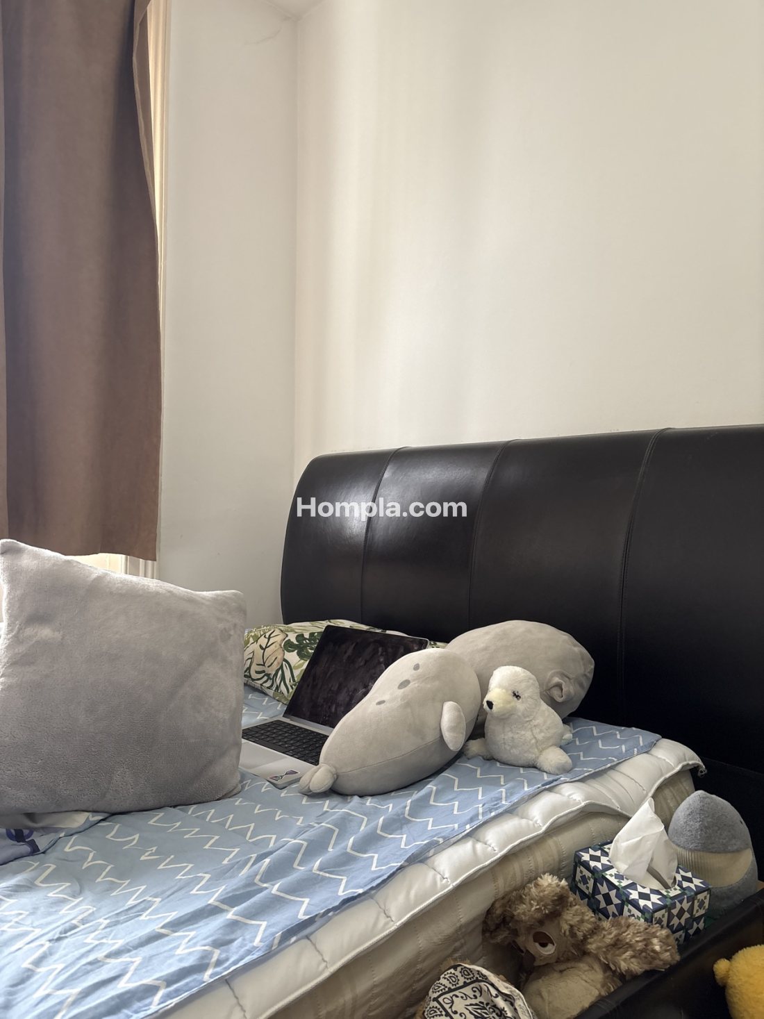 Argyll Court apartment