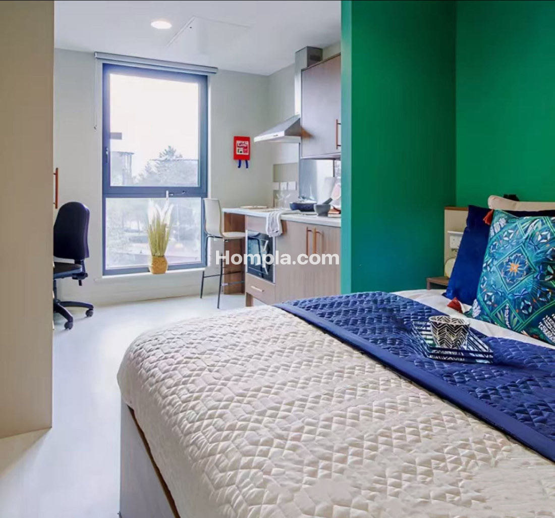 The toybox apartment