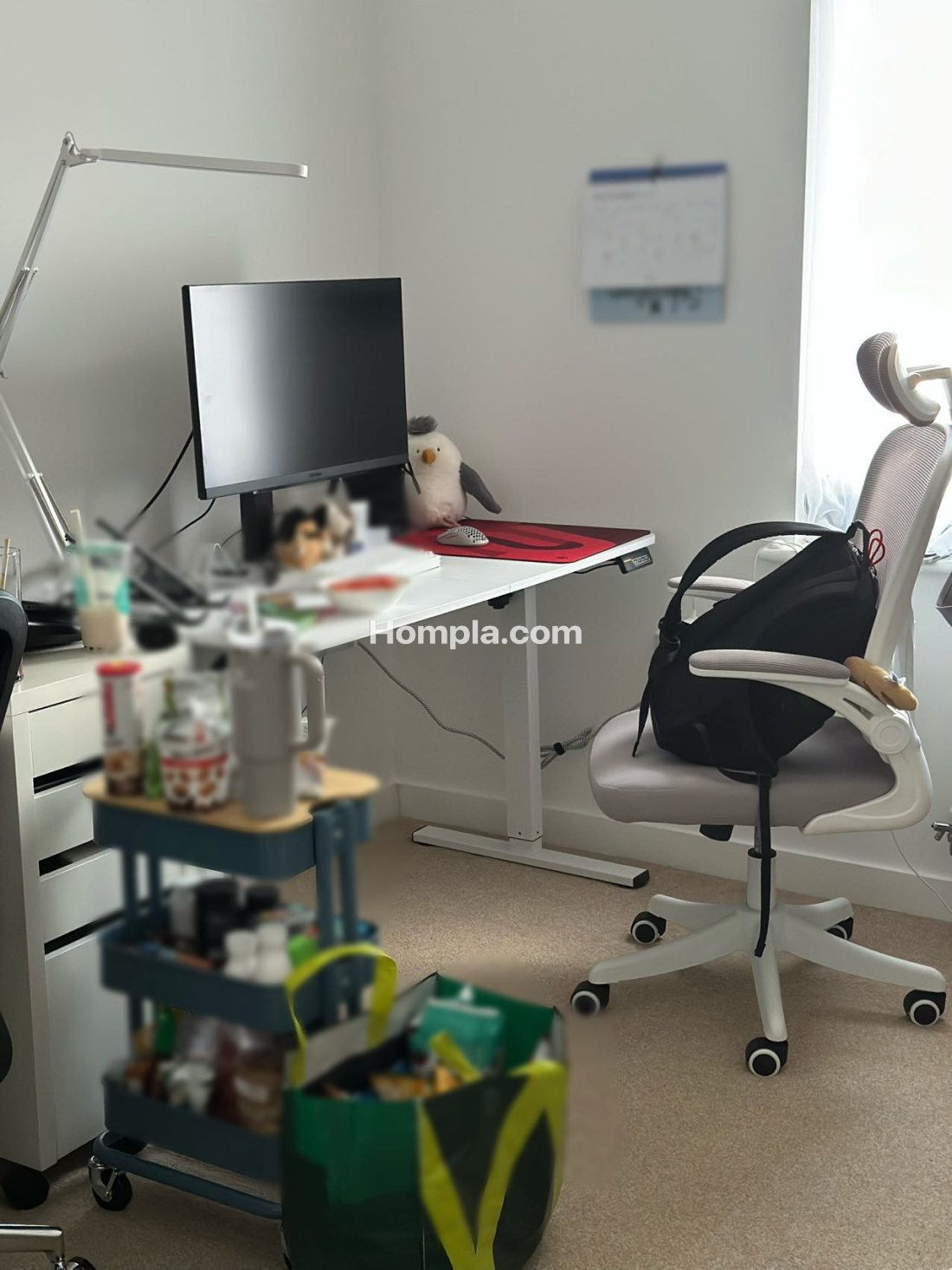 8 Banner Road apartment
