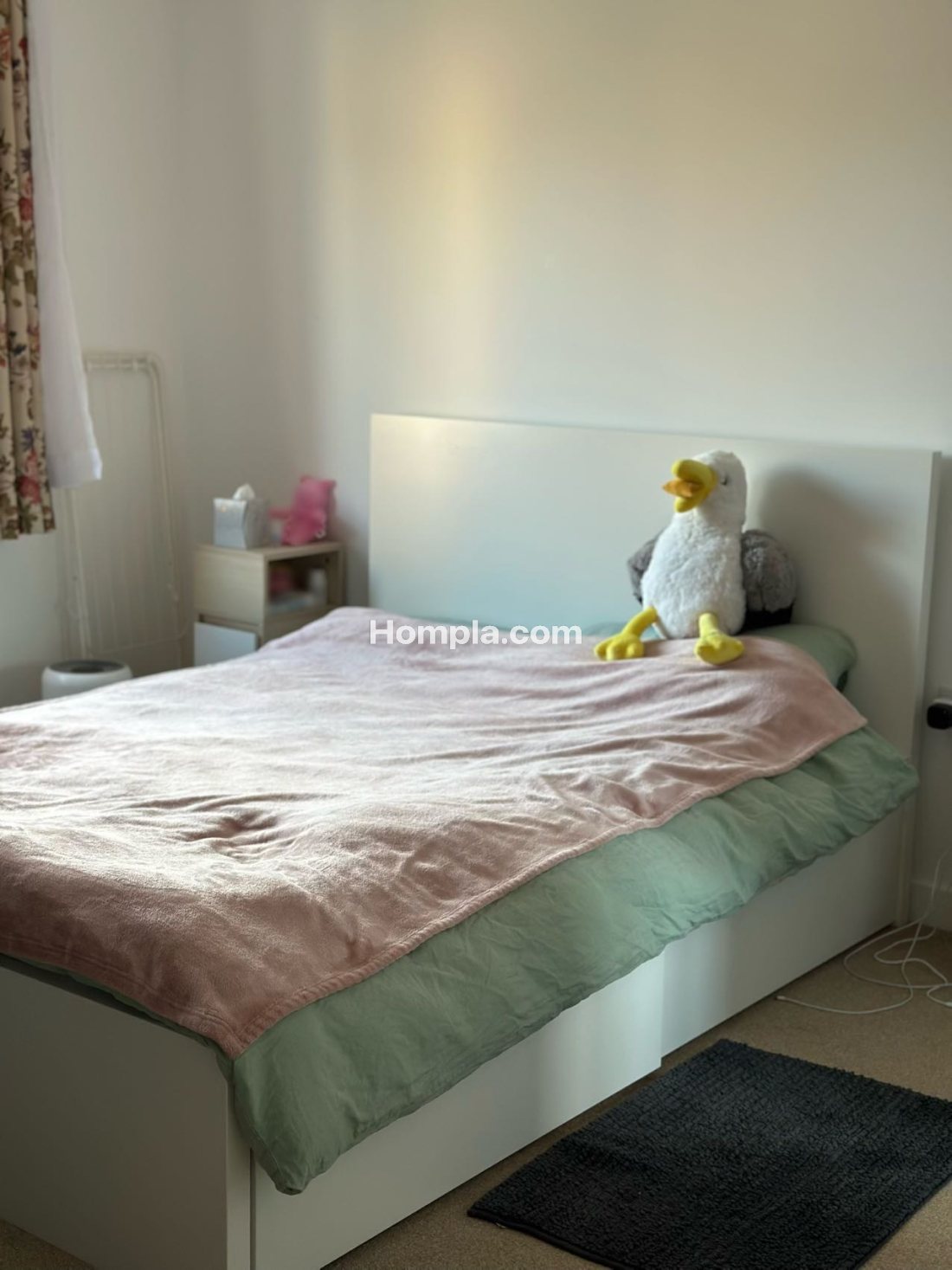 8 Banner Road apartment