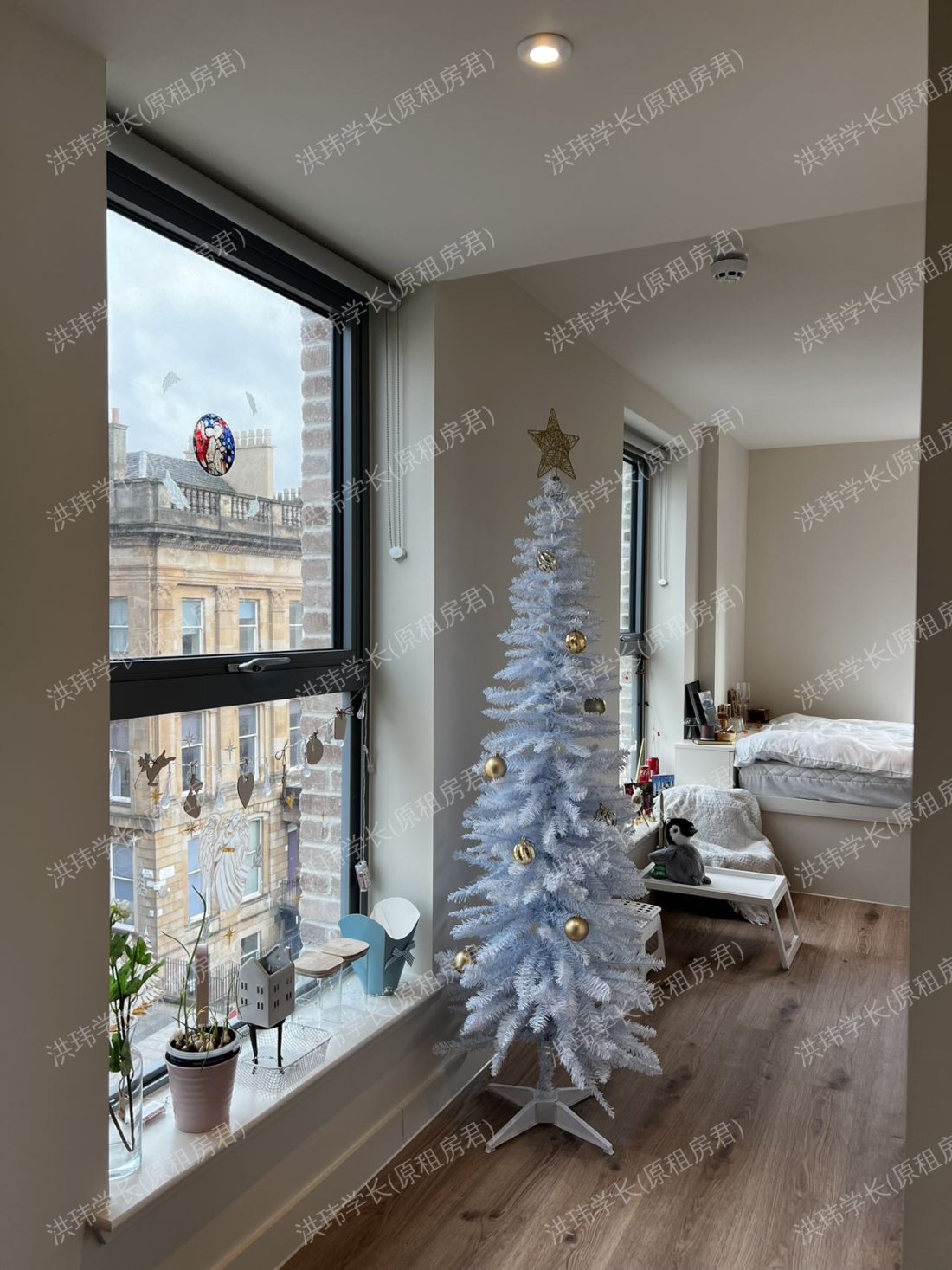 iQ Cullen House公寓