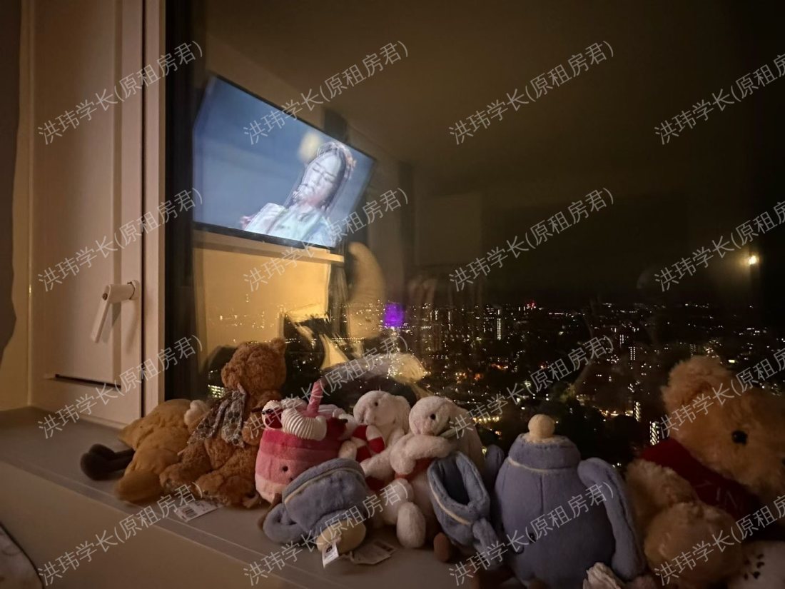 IQ Vega student accommodation公寓