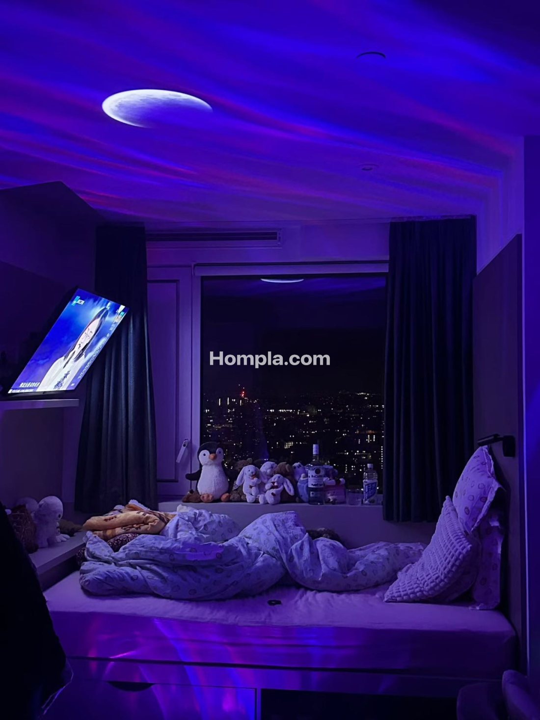 IQ Vega student accommodation apartment