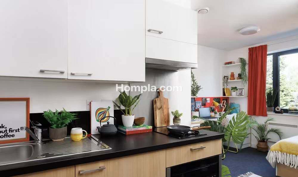 Elvet Studios apartment