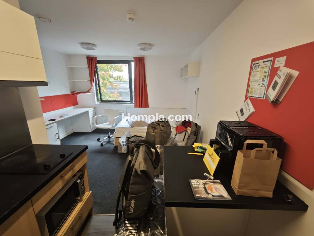 Elvet Studios apartment