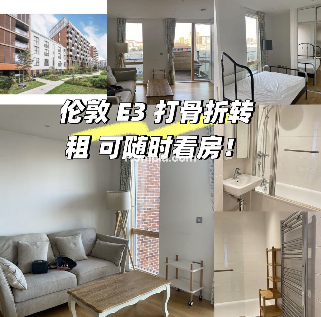 Donoghue court apartment