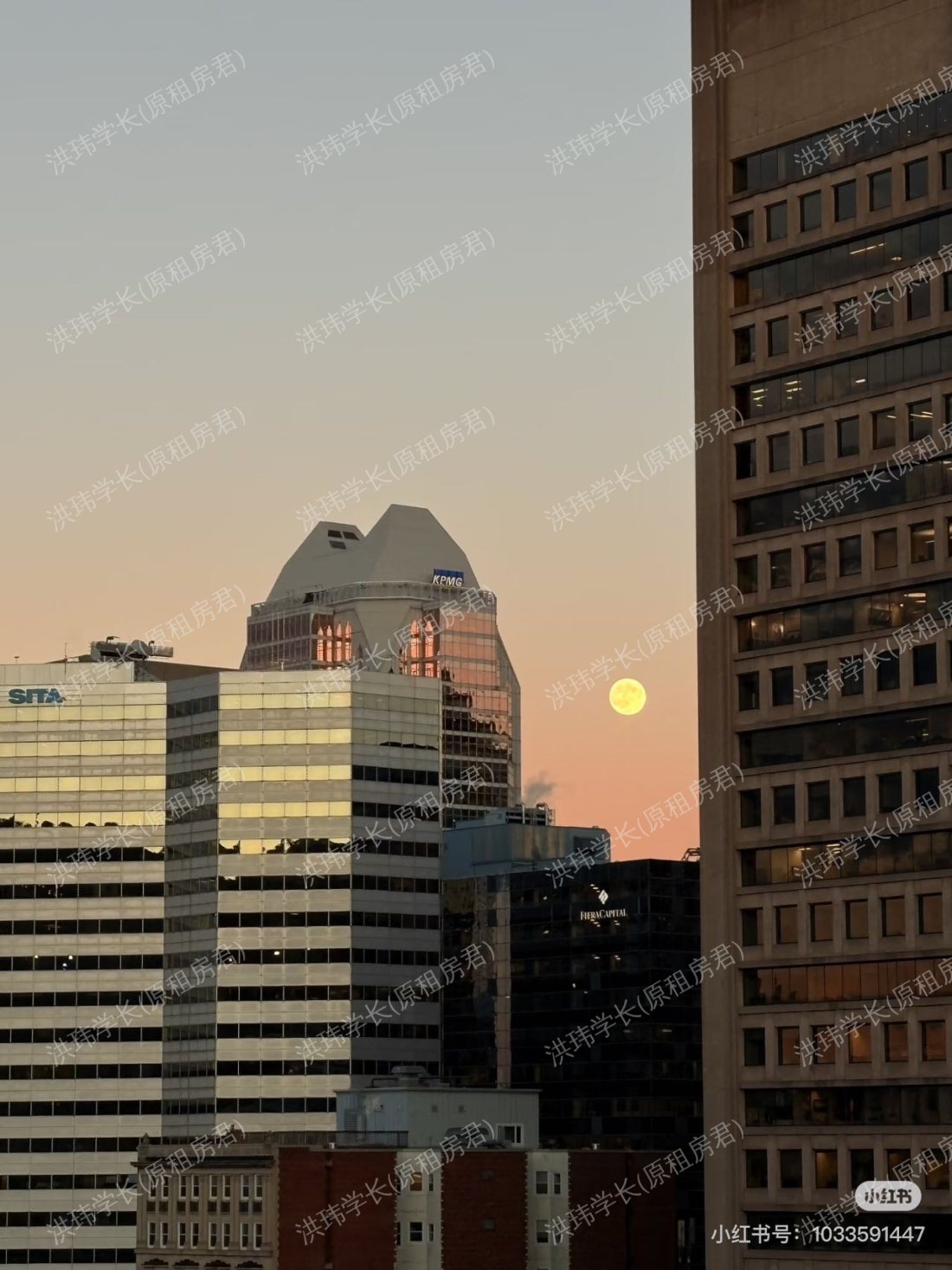 mtl dt peel plaza公寓