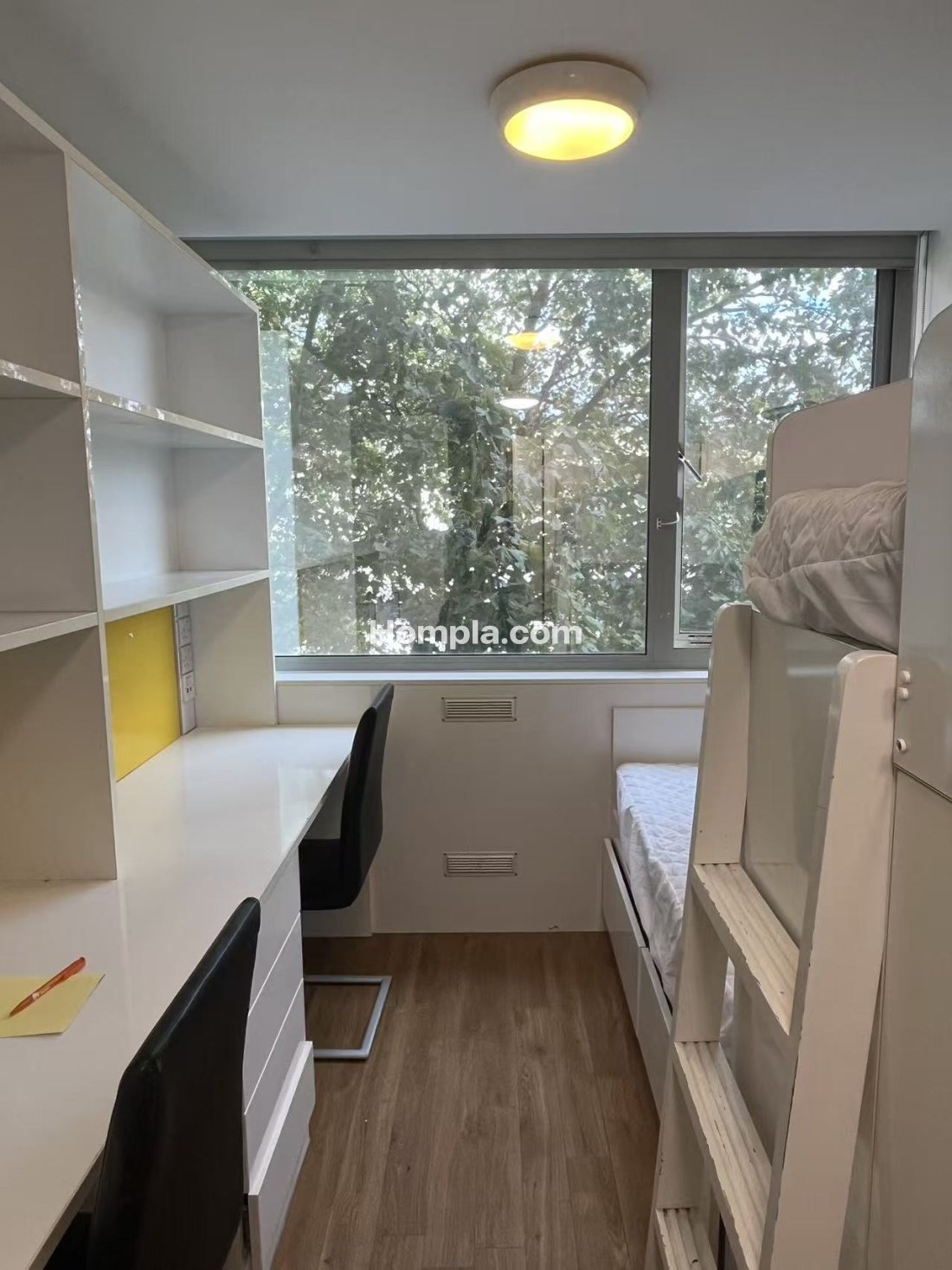 Chelsea Lightfoot Hall apartment