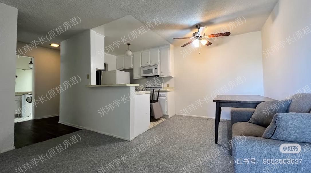 11088 Ophir Dr, 304公寓