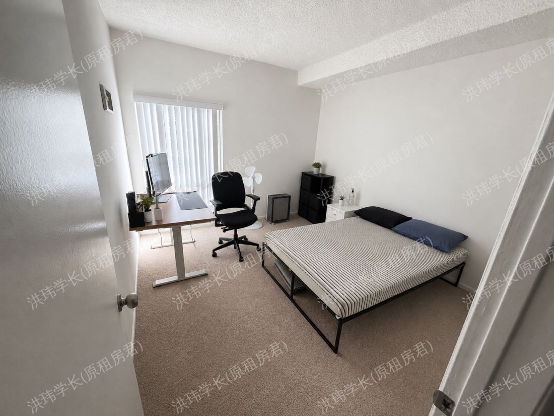 Luxury apartment公寓