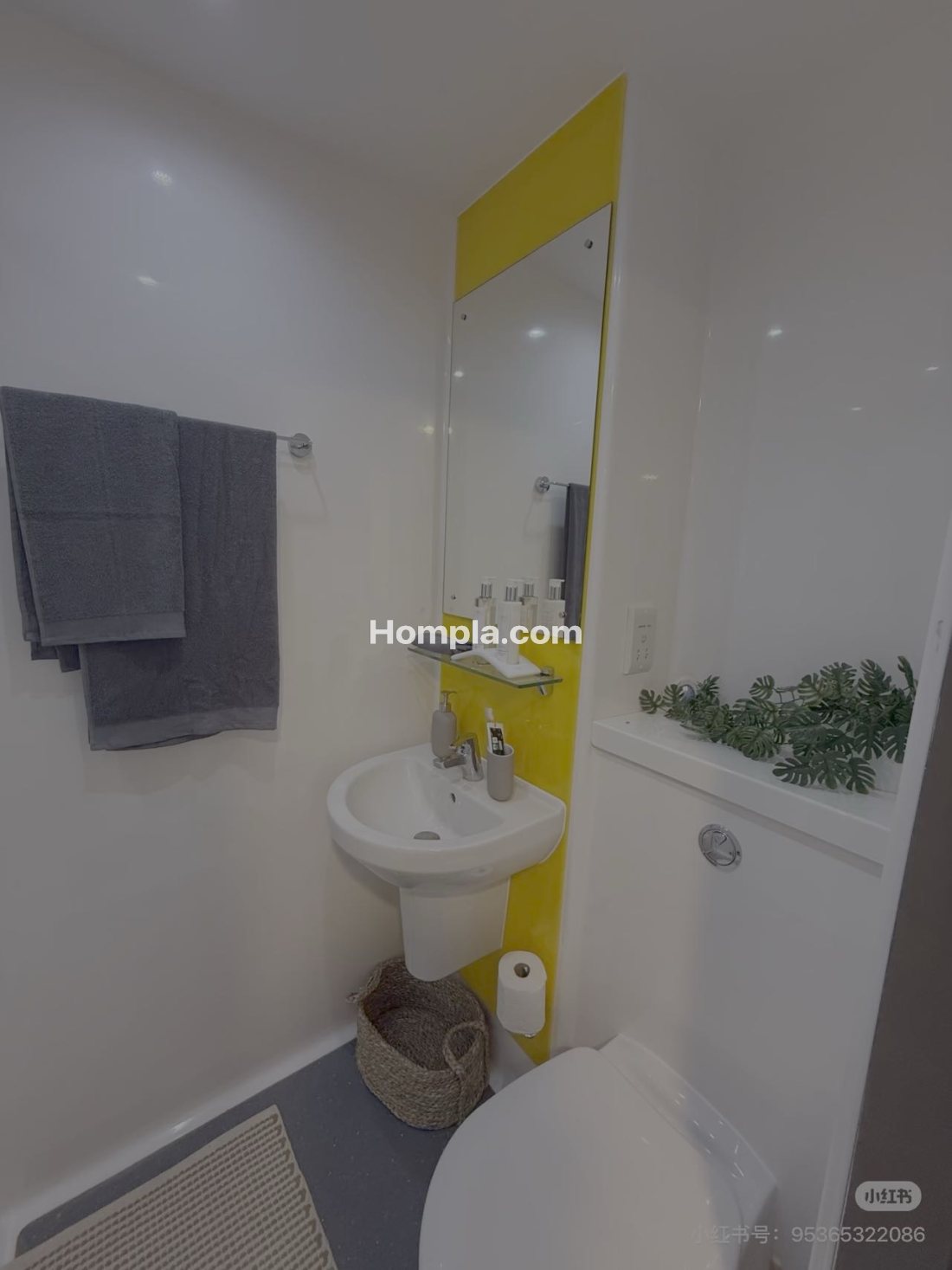 Compass apartment