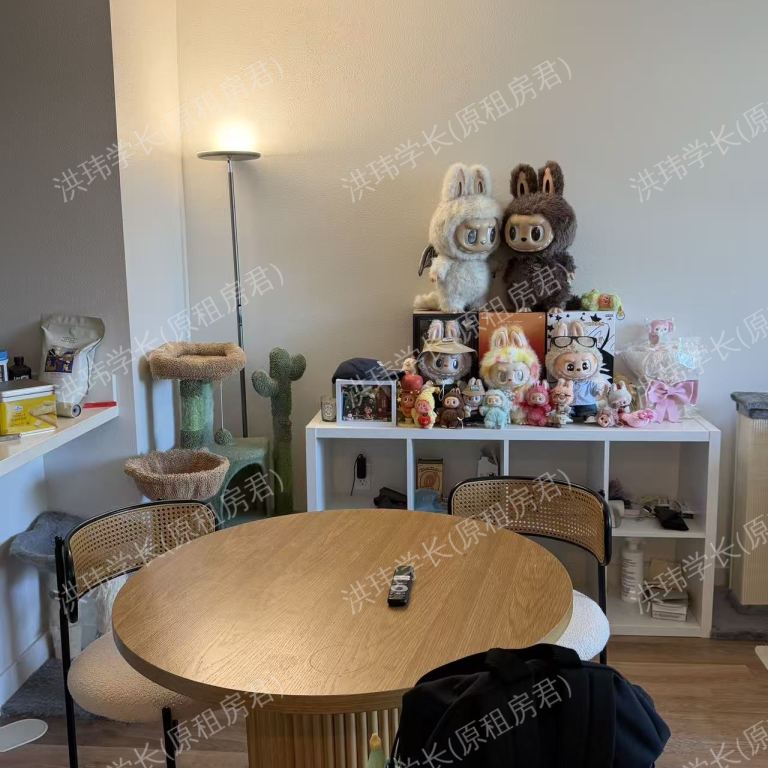 rooms picture