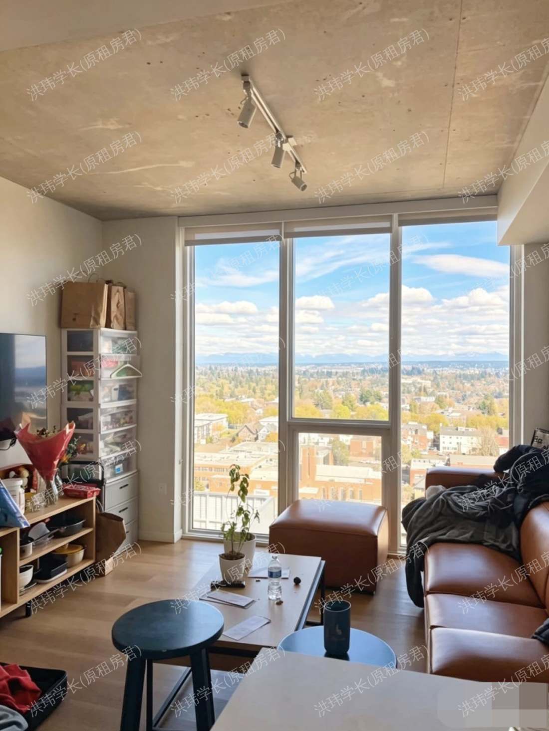 oliv seattle公寓