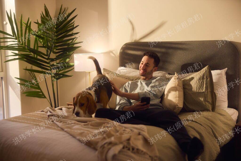 room picture