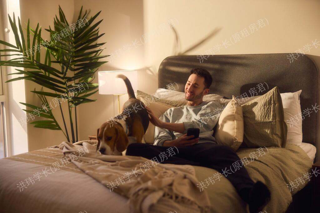 rooms picture