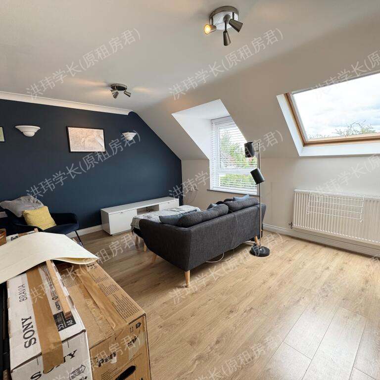 rooms picture