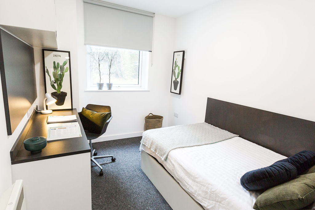 room picture
