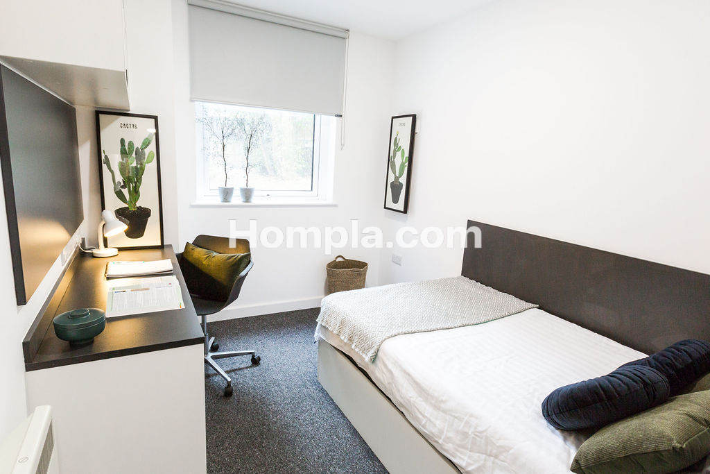 room picture