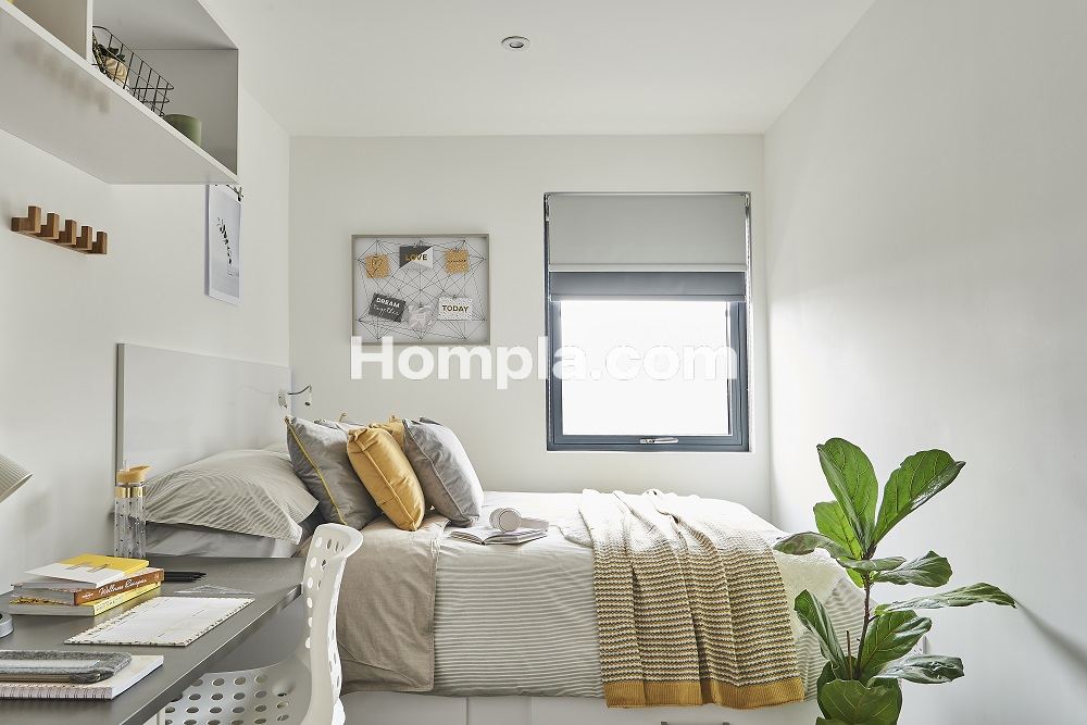 room picture