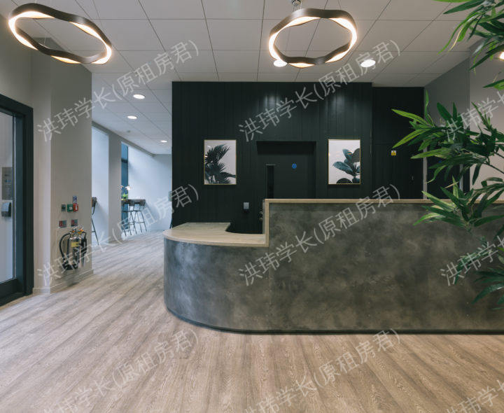 George Street Apartments公寓