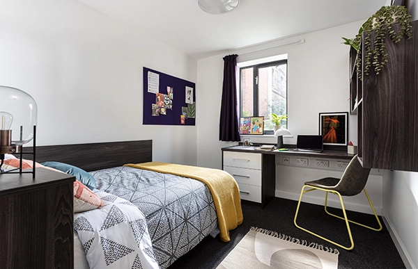 room picture