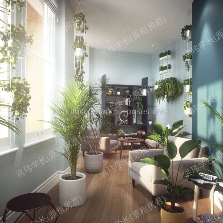 rooms picture